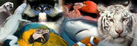 Quality Inn & Suites of the Sun Cities