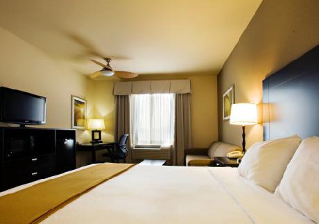 Holiday Inn Express Hotel & Suites SHAMROCK NORTH