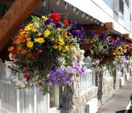 Victoria Airport/Sidney Travelodge