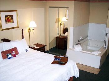 Hampton Inn South Haven