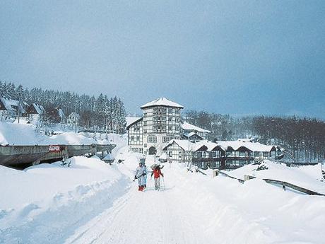 Dorint Winterberg Sportresort