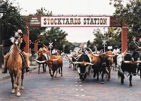 Staybridge Suites DFW AIRPORT NORTH