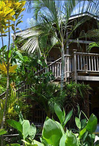 Bananarama Dive And Beach Resort