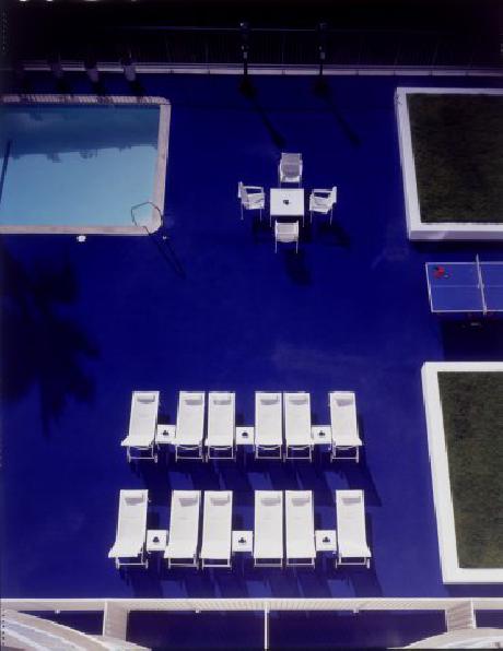 The Standard Hollywood