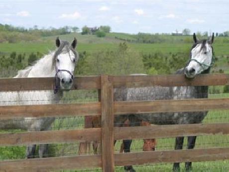 The Country Lodge at Sabbath S