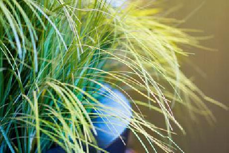 The Westin Detroit Metropolitan Airport