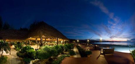 Golden Palm Tree Iconic Resort and Spa