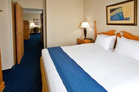 Holiday Inn Express Hotel & Suites DALLAS-ADDISON