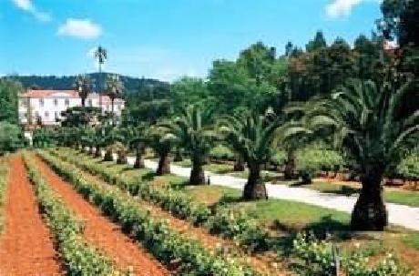 Holiday Villa Beach Resort And Spa Cherating