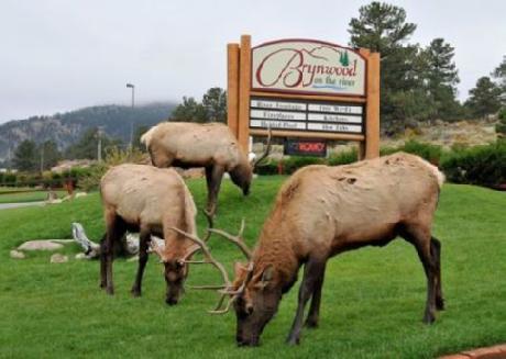 Brynwood on the River