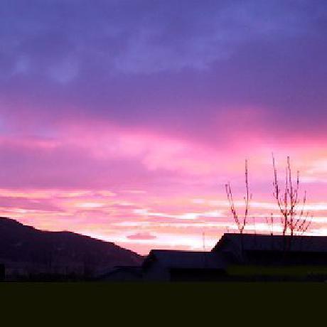 Hampton Inn  Suites ColumbusEaston Area