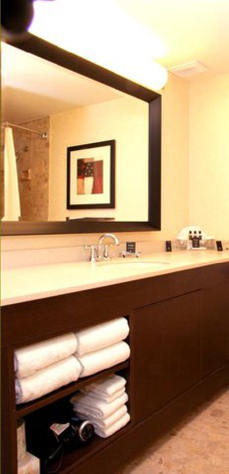 Embassy Suites Chicago  North ShoreDeerfield