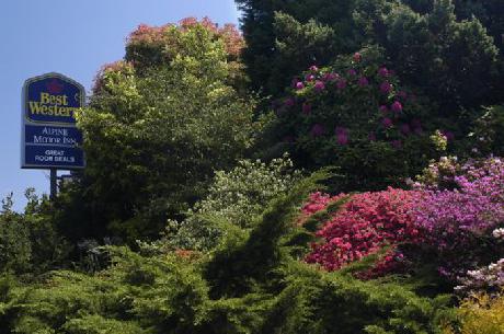 BEST WESTERN Alpine Motor Inn