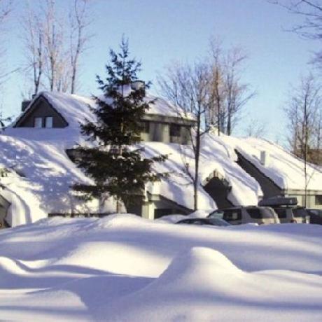 The Woods Resort And Spa