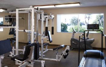 The Plaza Resort and Spa