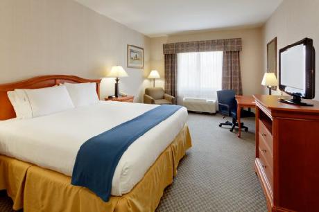 Holiday Inn Express Hotel & Suites ROCHESTER-VICTOR
