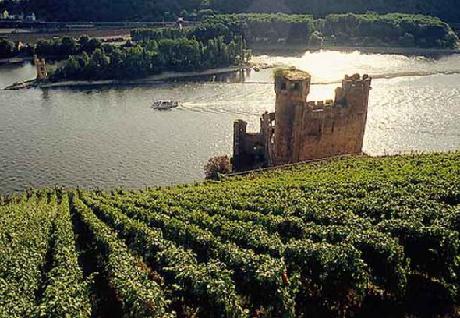 Courtyard Wiesbaden-Nordenstadt