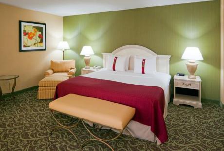 Holiday Inn CHANTILLY-DULLES EXPO (ARPT)