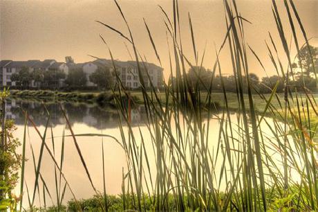 Sea Palms Golf Resort