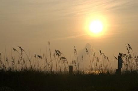 Amelia Hotel at the Beach