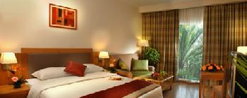 Fortune Select Palms