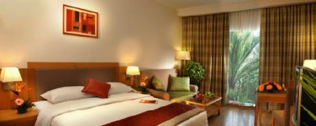 Fortune Select Palms