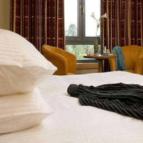 Bewleys Hotel Dublin Airport