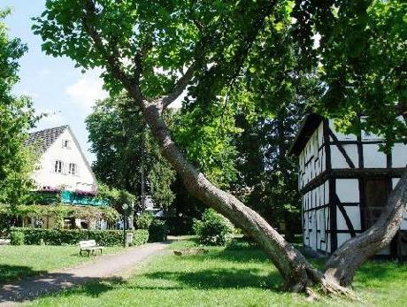 Ringhotel Bad Westernkotten