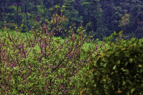 Aloft Nanhai, Foshan