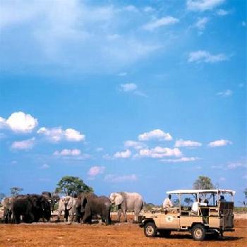 Orient-Express Safaris