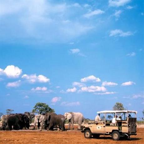 Orient-Express Safaris