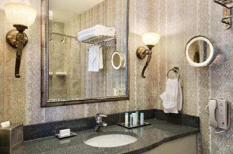 Hilton St Louis Downtown