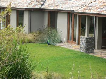 Treetops Lodge and Wilderness Experience