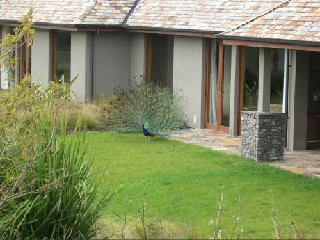 Treetops Lodge and Wilderness Experience