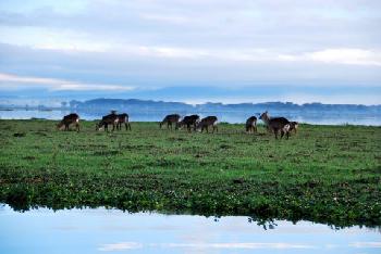 Lake Naivasha Country Club