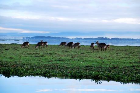 Lake Naivasha Country Club