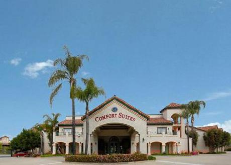 Comfort Suites Near Fairplex