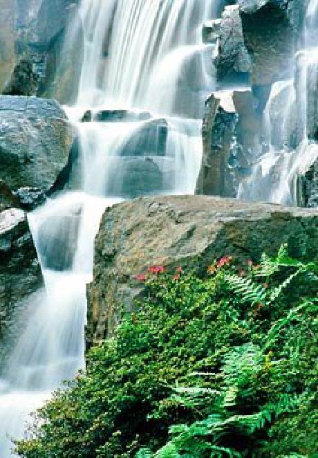 SpringHill Suites Seattle Downtown/South Lake Union