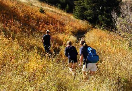 Residence Inn Denver Southwest/Lakewood