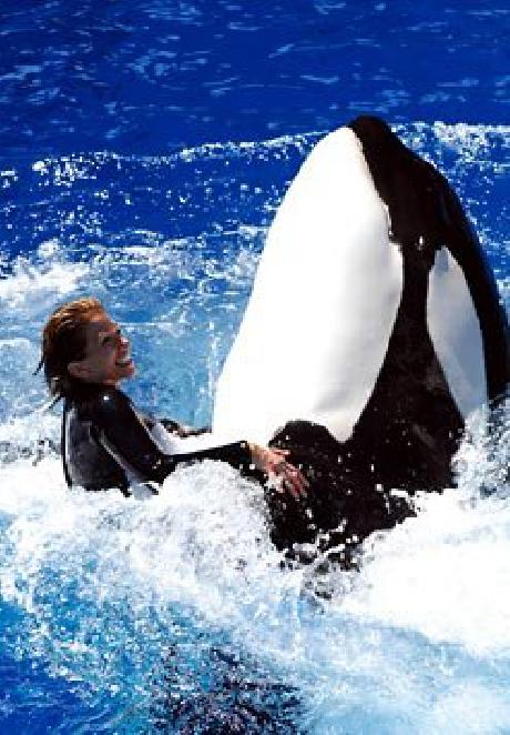 Courtyard San Diego Airport/Liberty Station