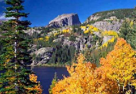 Courtyard Fort Collins