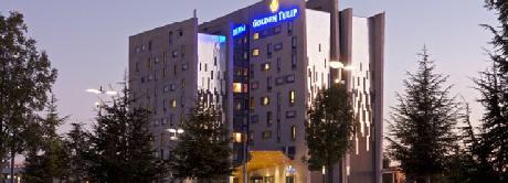 Golden Tulip Lyon Millenaire