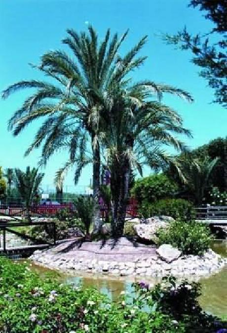 Chongqing He Fu Hotel