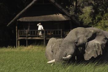 Orient-Express Safaris