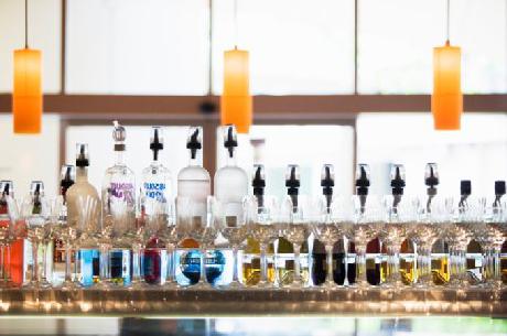 Holiday Inn POTTS POINT-SYDNEY