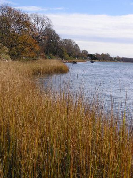 Shorecrest Bed and Breakfast and Beach House