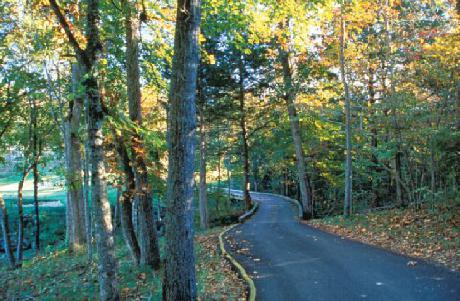 Wyndham VR Branson Falls