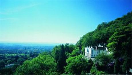 The Cottage in the Wood