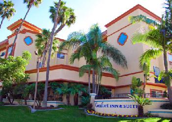 Comfort Inn & Suites Zoo SeaWorld Area