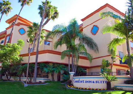 Comfort Inn & Suites Zoo SeaWorld Area